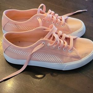 Peach and white puma